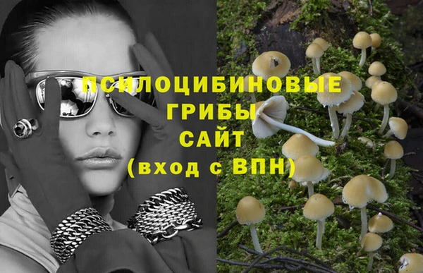 гидра Балабаново
